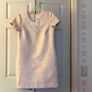 Elegant Pink Shimmer Dress by Jane Summers